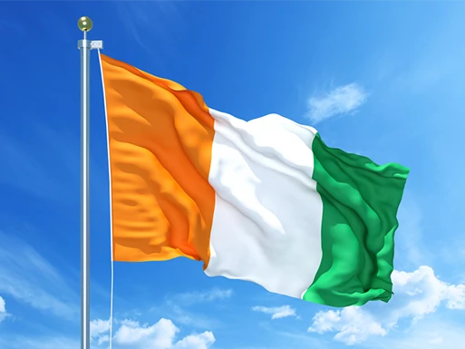 Removals to Ireland